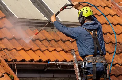 Démoussage et hydrofuge de toiture à Trept